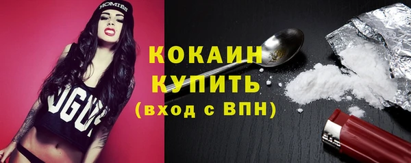дмт Елизово