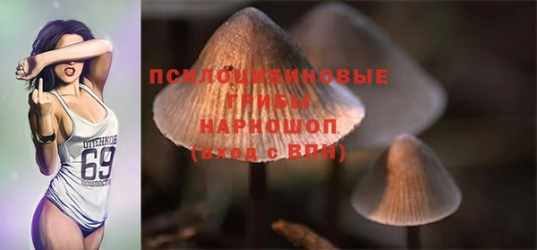 спайс Заводоуковск