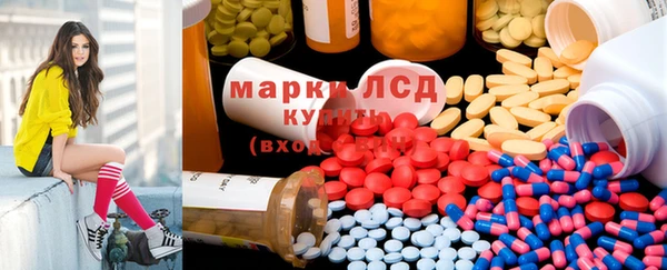 меф Ельня