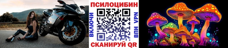 Псилоцибиновые грибы GOLDEN TEACHER  Купить закладки  Камбарка 